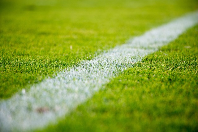 Heia, heia! Byene der fotballhelgen blir legendarisk